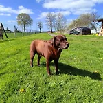 Steffenshagen アパート