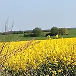 Steffenshagen アパート