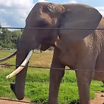 アパート Steffenshagen