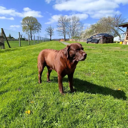 Steffenshagen Apartment