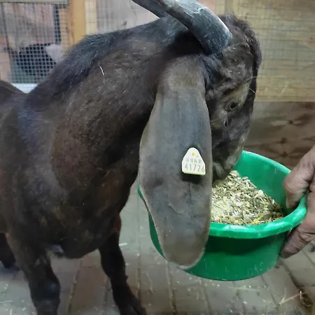 Apartment Steffenshagen *