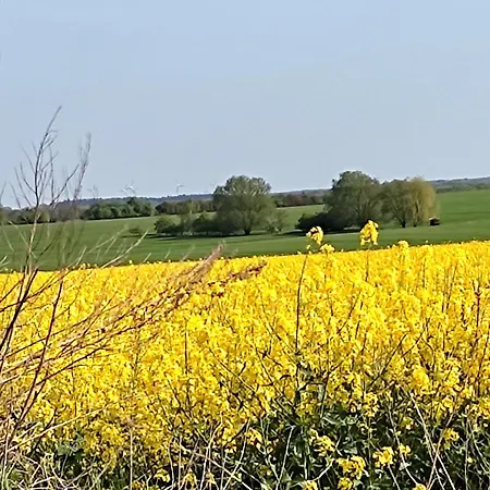 Steffenshagen Apartment