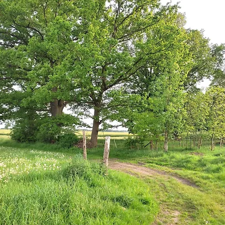 Διαμέρισμα Steffenshagen *