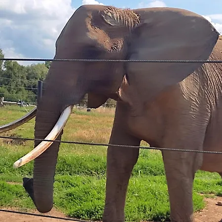 Διαμέρισμα Steffenshagen