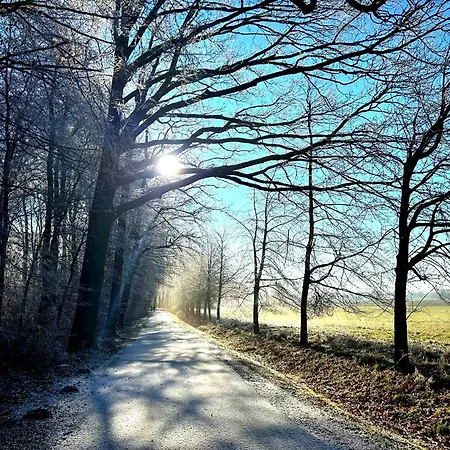 Apartment Steffenshagen