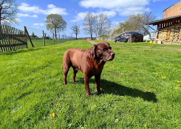 Steffenshagen Lägenhet