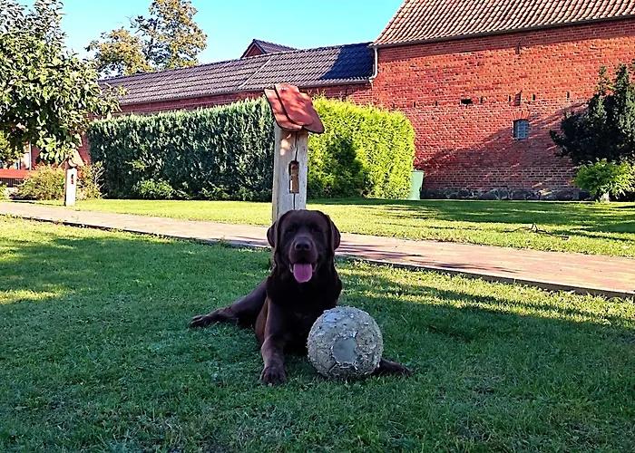 Steffenshagen Lägenhet