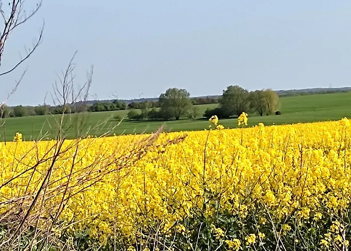 Steffenshagen Lägenhet