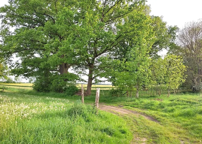 Lägenhet Steffenshagen *