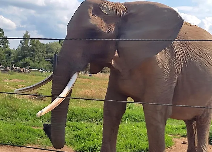 Lägenhet Steffenshagen