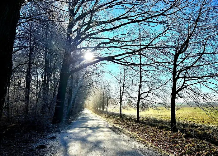 Lägenhet Steffenshagen